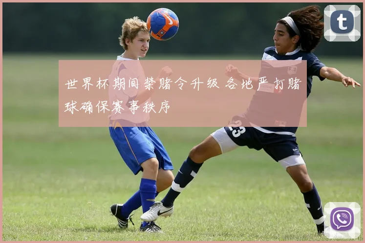 世界杯期间禁赌令升级 各地严打赌球确保赛事秩序
